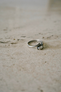 Dolphin Ring