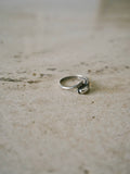 Dolphin Ring